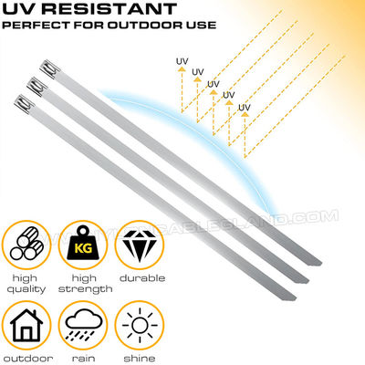 Stainless Steel Cable Ties with Double Ball Lock, 350~1100mm Lengths, 12mm & 16mm Widths, Ø25~278mm