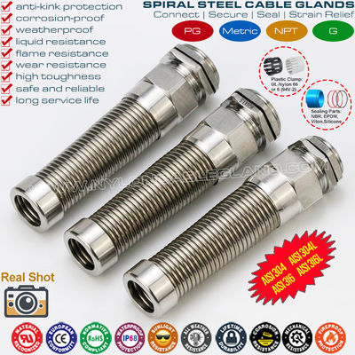 AISI316L, AISI316, AISI304 σπειροειδής στυπιοθλίπτης καλωδίου PG από ανοξείδωτο χάλυβα (IP68) με ανακούφιση καταπόνησης